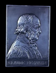 Claude Bernard, French Physiologist