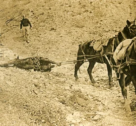 Clearing the battlefield, c1914-c1918