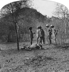 Colonel Afsurul Mulk on a tiger hunt, India