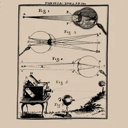 Comparative Depiction of the Human Eye and the Camera Obscura
