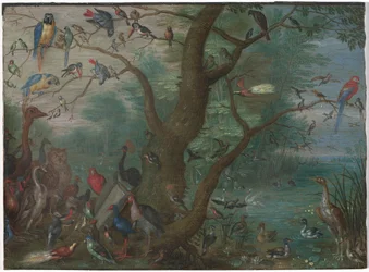 Concert of Birds, 1660-1670