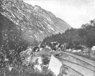 Cottonwood Canyon, Utah, USA