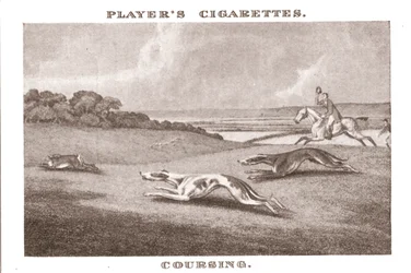 Coursing-11