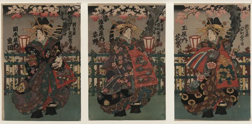 Courtesans Shigeoka, Sugatano and Hanamurasaki. Triptych. From the Series The Beauties of the Yoshiw