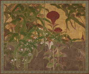 Coxcombs, Maize and Morning Glories