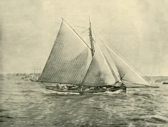 Cruising in Port Jackson