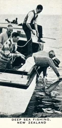 Deep Sea Fishing, New Zealand, 1927-1937