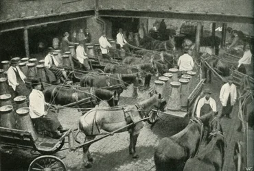 Delivery Vans Starting from Messrs, Freeth and Pocock