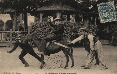 Donkey Tetu and Recalcitrant - Postcard dated 1904