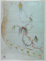 Drawing