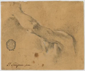 Study - The Left Arm and the Neighboring Parts of the Body of an Elderly Man
