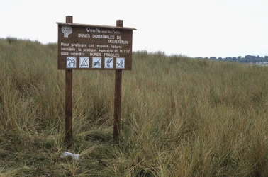 Dune Protection Panel