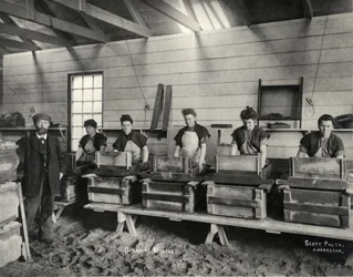 Dynamite Mixing, Ardrossan, 1897