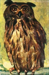 Eagle owl, c1928