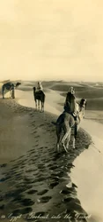 Egypt - Lookout into the Desert