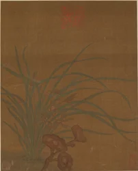 Eight Designs of Flowers