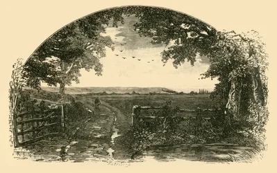 Entrance to Sedgemoor from Chedzoy