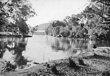 Evening Shadows, National Park