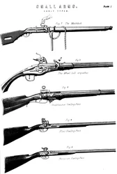 Examples of various gun firing mechanisms, c1880