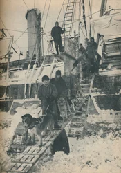 Exercising the Dogs, 1936