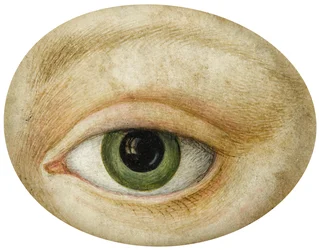 Eye