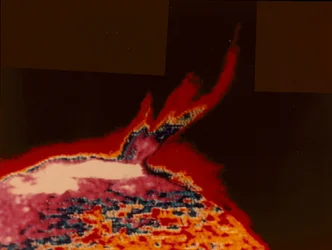 False Colour Image of a Solar Flare from Skylab