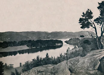 Farris, Larvik