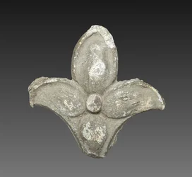Fleur de Lys
