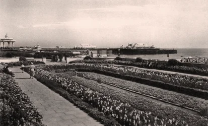 Floral gardens and the West Pier, Brighton, Sussex