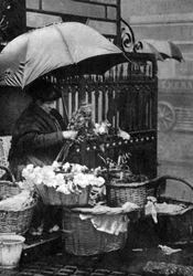Flower Seller, Piccadilly Circus, London