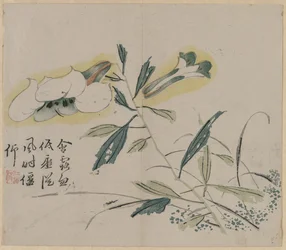 Flowering Lily