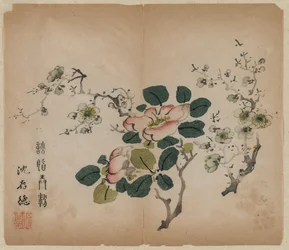 Flowering Prunus, 1368-1644