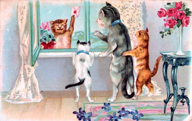 French Postcard