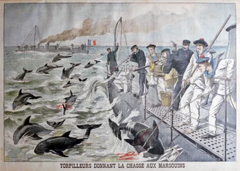 French torpedo boats hunting porpoises