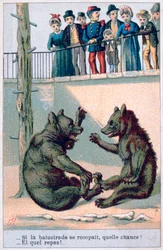 French Zoological Postcard