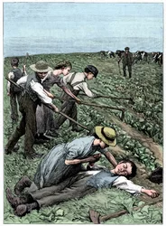 Gang system of child labour