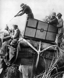 George V shooting tigers, India