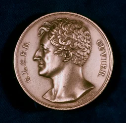 Georges Leopold Chretien Frederic Dagobert, Baron Cuvier, French Anatomist