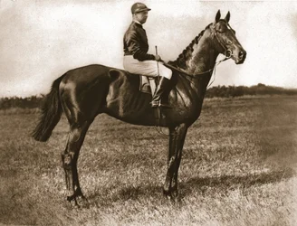 Georges Stern on Sunstar