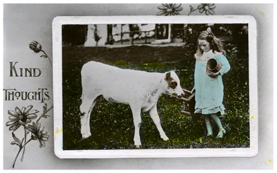 Girl About to Milk a Cow, Greetings Card, c. 1890-1910