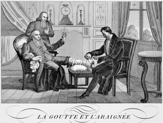 Gout and the Spider