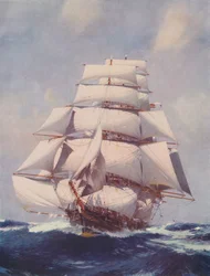 Gracefully Riding the Seas