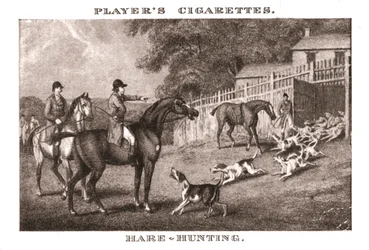 Hare-Hunting