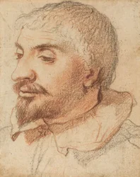 Head of a Man