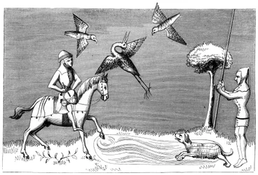Heron hawking