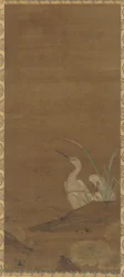 Herons and Water Plants