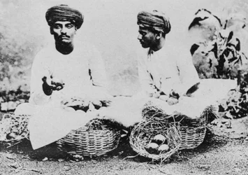 Hindu fruit sellers, India