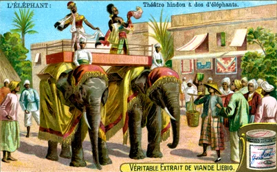 Hindu Theatre on the Backs of Elephants