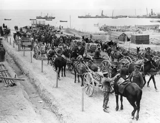 Horse drawn transportation, Allied operations in the Dardanelles, Turkey, 1915-1916