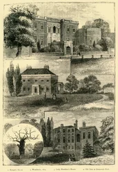 Houses Round Greenwich Park